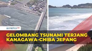 Hasil gambar untuk tsunami jepang