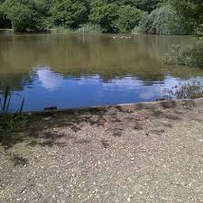 Image result for CALPAC Angling Club