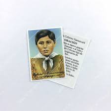 Image result for Saint Ceferino Namuncurá