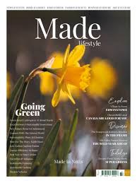 Image result for Killamarsh Mayhem