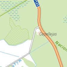 Attēlu rezultāti vaicājumam “Lycogala paraconfusum”