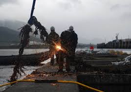 Image result for Breakwater Divers