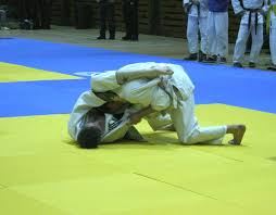 Image result for Brighton Judo Club