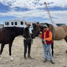 Image result for North Lammermuir Riding Club