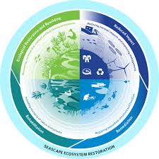 Image result for Unsworth Cc