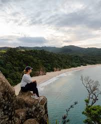 Image result for new chums beach