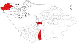 「VHAPUNI　MAO」の画像検索結果