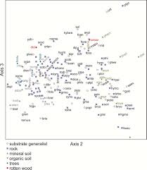 Attēlu rezultāti vaicājumam “Eurhynchiastrum pulchellum macro”