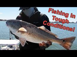 Image result for Lamb Angling Club