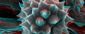 Attēlu rezultāti vaicājumam “pollen corona”