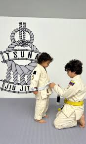 Image result for Derwent Jujitsu Academies