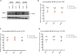 Image result for BCKA