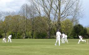 Image result for Shalford Cricket Club