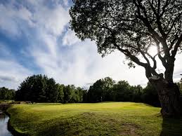 Image result for Tulliallan Golf Club