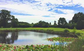 Image result for Hartley Wintney Golf Club Limited