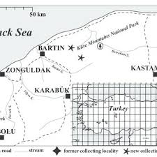 Attēlu rezultāti vaicājumam “Anomodon longifolius”