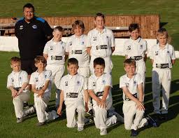 Image result for Pledwick Cricket Club