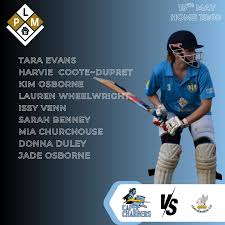 Image result for Capel Cricket Club