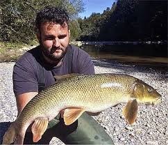 Image result for Barbus barbus