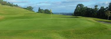 Image result for Bridge Of Allan Sports Club