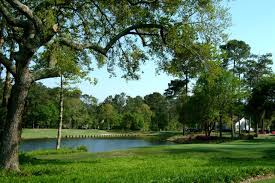 Image result for Blackmoor Golf Club