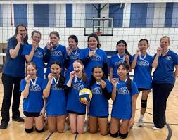 Image result for British Airways Volleyball Club