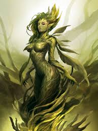 Image result for druid