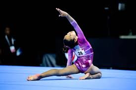 Image result for Focus Institute of Gymnastics