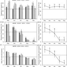 Attēlu rezultāti vaicājumam “Protoschinia scutosa”