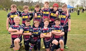 Image result for Caldicot Junior  & Mini Rugby Club