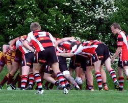 Image result for Holderness Vikings Amateur Rugby League Football Club