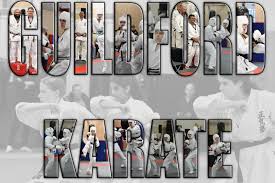 Image result for Seiki Juku Karate Club