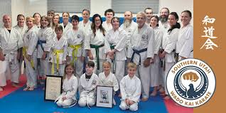 Image result for Reading Wado Kai Karate Club
