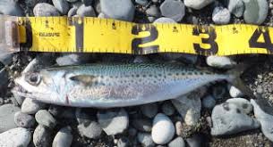 Image result for 201205.html#201205031