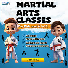 Image result for Mirfield Martial Arts Club