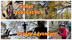 Image result for Go Ape! Leeds Castle
