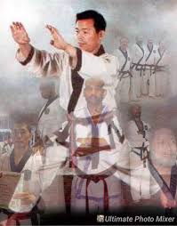 Image result for Dallo Martial Arts