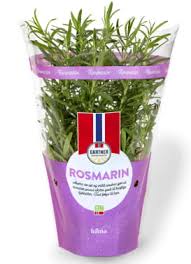 Image result for Rosmarin