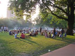 Image result for London Fields Cricket Club