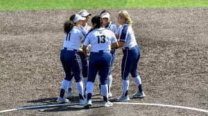 Image result for Brighton Beachcombers Softball Club