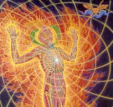 Image result for Alex gray