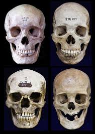 Image result for 土井ヶ浜遺跡　視線　故郷