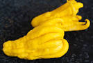 buddha's hand citron vodka recipe | use real butter