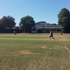 Image result for Flamingo Cricket Club
