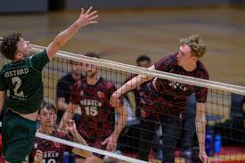Image result for Malory Eagles volleyball club
