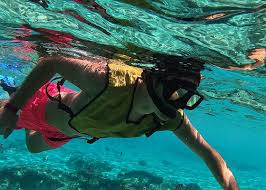 Image result for Stalybridge Snorkel Club