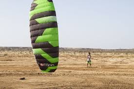 Image result for Baiter Power Kite