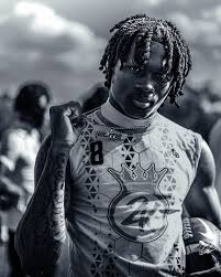 Attēlu rezultāti vaicājumam “Diderma roanense”