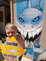 Image result for Sharks Swimming Club Of Mottingham