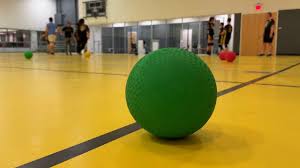 Image result for York University Dodgeball Club